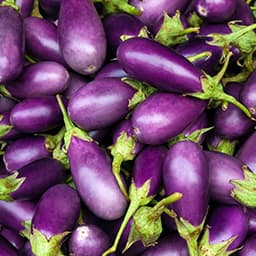 Eggplant