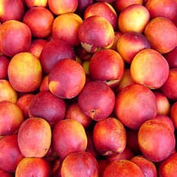 Nectarines