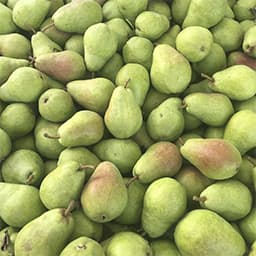 Pears