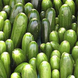 Zucchini